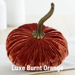 Velvet Pumpkins