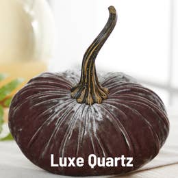 Velvet Pumpkins