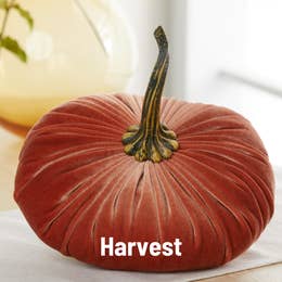 Velvet Pumpkins