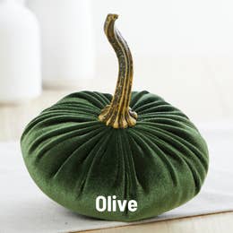 Velvet Pumpkins